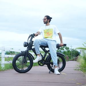 Vélo électrique Ecoride V8 750 W, pneus larges 15 Ah, livraison gratuite, double selle, tout-terrain - Product Image 1