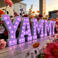 Lettres lumineuses géantes personnalisées « Marry Me » de 1,2 m pour les propositions de mariage, les mariages en extérieur, les fêtes d'anniversaire, les bâtiments et l'usage domestique - IP65