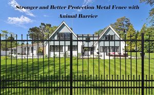 ODM OEM Factory 10 '7' Valla de acero galvanizado para cachorros Campo de valla de acero de hierro forjado de 1800 mm con número de modelo 3D - Product Image 2