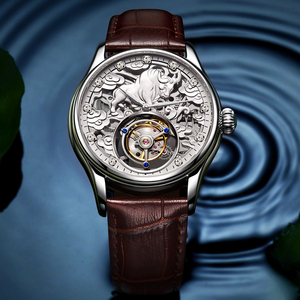 Envío Directo, Reloj de Pulsera Mecánico AESOP Tourbillon Skeleton con Movimiento de Cuerda Manual para Hombre, Reloj de Lujo a Prueba de Agua con Cristal de Zafiro - Product Image 4