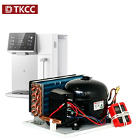 Tianke Mini-Kondensator-Kompressor für Sofortkühlung Wasseraufbereiter Spender Produktion Energiesparend Automatisch Umweltfreundlich
