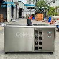 Machine à glaçons industrielle à grande capacité refroidie par air avec composants de moteur efficaces Machine à glaçons industrielle pour les fruits de mer