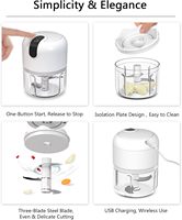 Mini hachoir à ail électrique rechargeable par USB, hachoir à aliments portable sans fil, petit robot culinaire pour hacher l'ail