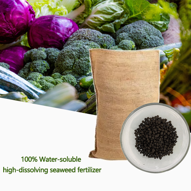 Сельскохозяйственный экстракт морских водорослей, удобрения, сельскохозяйственный экстракт морских водорослей в порошке, 2022 высоконагревающееся НОВОЕ удобрение