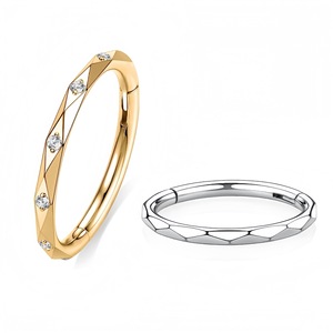 Anneau de nez géométrique en acier inoxydable avec zircon serti à griffes pour piercing du cartilage d'oreille, bijou cadeau - Product Image 1