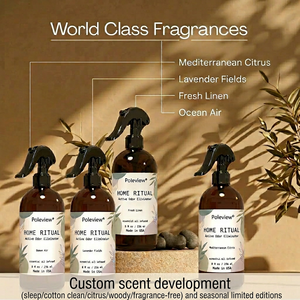 Eliminador de Olores para el Hogar con Aroma Personalizado, Spray Activo para el Hogar con Desodorante para Muebles, <span class=keywords><strong>Ambientador</strong></span> con Aceites Esenciales - Product Image 6
