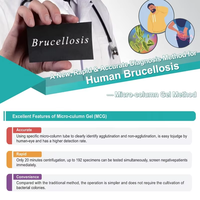 LONGTIME Veterinär-Brucella-Coombs-Testkit für Rinder