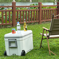 Glacière de 45 L à Usage Extérieur, en Plastique, pour Boissons, Aliments et Pêche, Vente en Gros