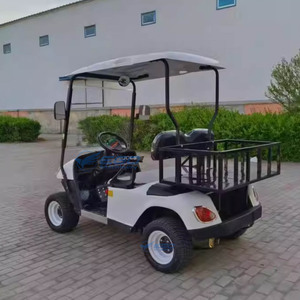 Voiturette de golf électrique la plus vendue, alimentation directe usine, batterie au plomb haute puissance, structure en acier, capacité 2 personnes, meilleur prix - Product Image 6