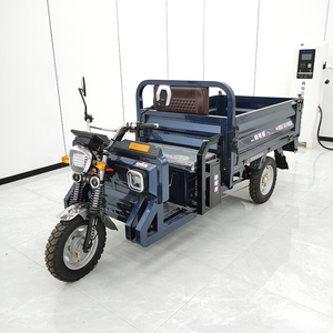 Conception personnalisée Tricycle électrique à 3 roues et vélo solaire pour le commerce avec camion de marchandises - Product Image 6