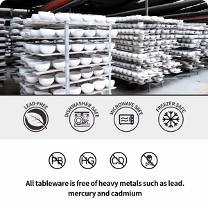 Cuencos redondos de alta calidad para restaurante, vieiras, fruta, cena, sopa, juego de ensaladeras de porcelana profunda, cuencos de cerámica blanca para servir comida - Product Image 6