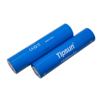Batterie cylindrique à décharge profonde 32140, embout plat Tipsun 3.2V 15Ah pour trottinette électrique