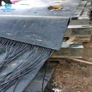 EP300/2 acciaio cavo nastro trasportatore forl personalizzato miglior prezzo e veloce nave alta qualità più lungo tempo di servizio - Product Image 6