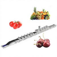 Cherry Tomaat Wasmachine Snijden Verpakking Automatische Drogen Groente En Fruit Was En Schilmachine