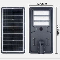 Lampe solaire hybride intégrée IP65 DC 6V pour éclairage public, étanche, LED extérieure, montage mural, alliage d'aluminium, garantie 2 ans