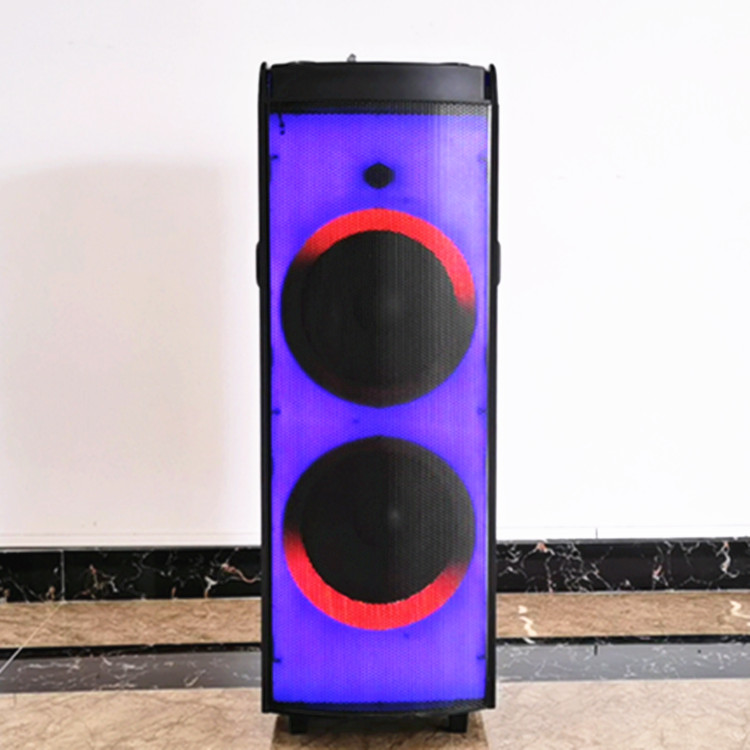 12 Inch Portable Trolley Speaker Woofer Speaker Support USB Flash Drive Fm Radio Speaker System With Lights