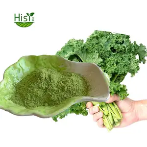 Ramuan Kale ekstrak daun bubuk Food Grade sayuran organik 99% Kale bubuk ekstraksi Kale bubuk
