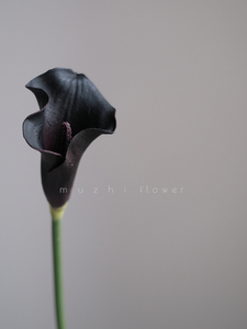 Real Touch <span class=keywords><strong>Fleurs</strong></span> <span class=keywords><strong>Arum</strong></span> Lily PU Calla Lily Fleur Artificielle Mariage Décor Maison <span class=keywords><strong>Fleurs</strong></span> Décoratives pour Noël Graduation - Product Image 4