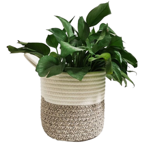 Macetas Colgantes Decorativas de Pared para Jardín, Estilo Vintage, de 39 Pulgadas, con Bandeja para Flores, Hechas de Fibra Vegetal - Product Image 3