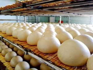 Máquina de bolas de masa digital de precisión 50-350g Control de pantalla táctil para productos lácteos Motor de núcleo de fábrica y componentes PLC - Product Image 3