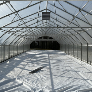 Commerciële grote enkelspannige dubbelwandige landbouwfolie-kassen voor de teelt van groenten en aardbeien - Product Image 5