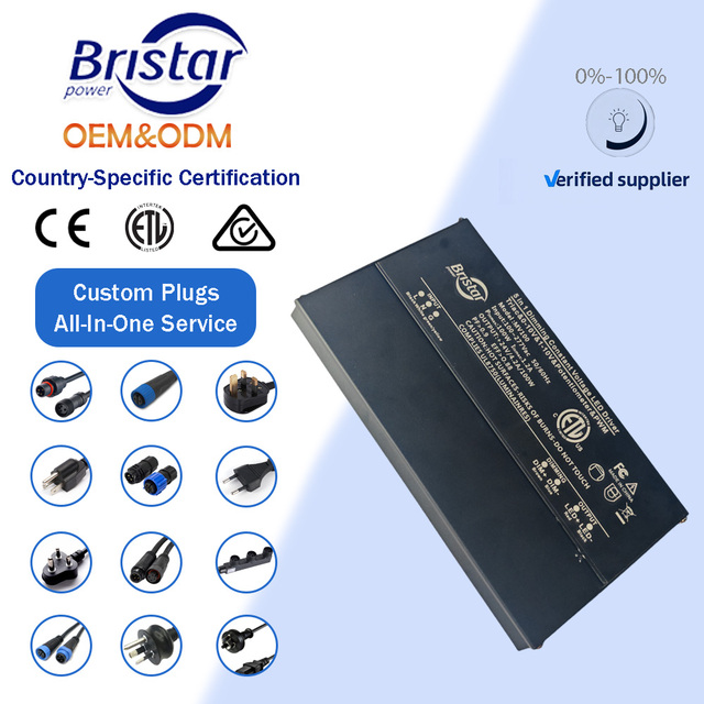 2026 BST OEM 5 in 1 Dimmable Class 2 UL ETL Junction Box Power Supply Constant Voltage 60W 24V 100-277V Board Module Led Driver