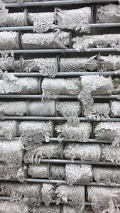 Ultimo 3D paillettes ricamato pizzo <span class=keywords><strong>da</strong></span> <span class=keywords><strong>sposa</strong></span> in seta solubile in acqua auto <span class=keywords><strong>da</strong></span> <span class=keywords><strong>sposa</strong></span> in pizzo per <span class=keywords><strong>vestiti</strong></span> e cappelli decorazione perline - Product Image 4