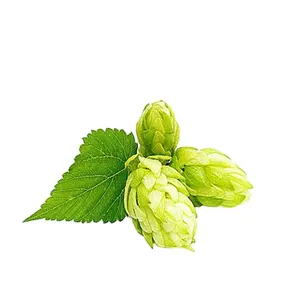 Hop strobile extract