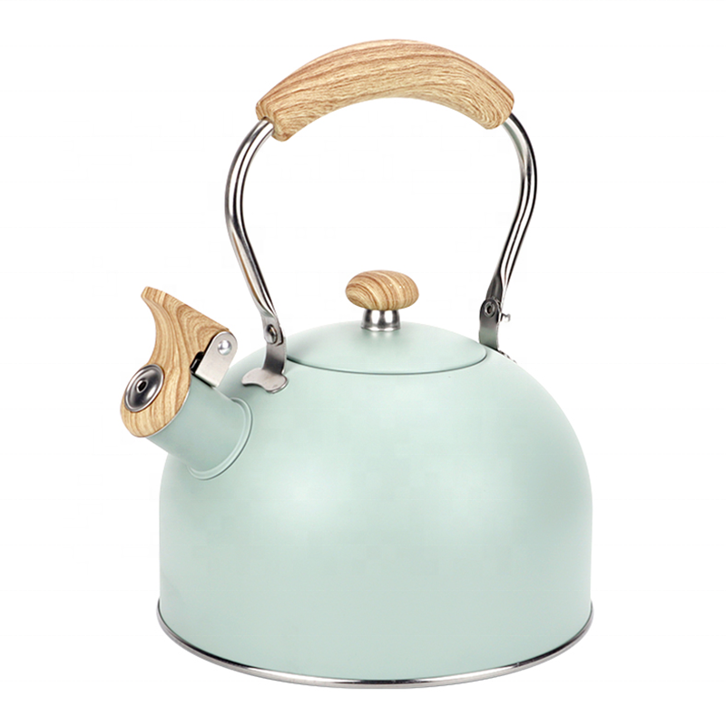 2 5L Mint Green Color Painting
