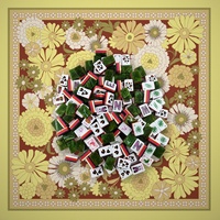 Jeu de Mahjong américain en acrylique brillant effet nature, avec tuiles en acrylique poli et tapis de Mahjong en tissu assorti