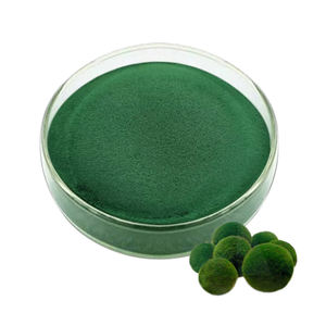 Lifecare Supply <span class=keywords><strong>Spirulina</strong></span> Chlorella Extract Polvo de espirulina de Chlorella orgánica de alta calidad - Product Image 2