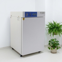 Inkubator CO2 Baru 84L Tangki Dalam Baja Tahan Karat 304 Inkubator CO2 Inkubator Kultur Sel Karbon Dioksida untuk Laboratorium