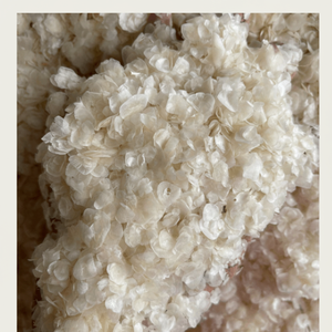 Fournisseur de écailles de poisson séchées, brutes ou traitées, en provenance du Vietnam - Prêt à l'exportation - Product Image 1