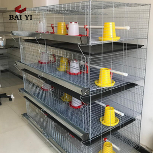 Jaula de batería para bebé, broches de chickes jaula para, <span class=keywords><strong>en</strong></span> <span class=keywords><strong>venta</strong></span> - Product Image 2