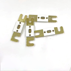 Fusibile Auto Auto <span class=keywords><strong>ANL</strong></span> fusibile 50A 60A 70A 80A 100A 125A 150A 160A 175A 200A 250A 300A 350A 500A 600A 32V 48V 72V <span class=keywords><strong>ANL</strong></span> fusibile Auto - Product Image 4