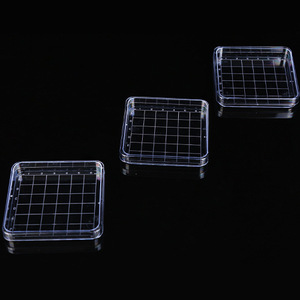 Boîte de Pétri carrée Yuan Yi 10x10cm en plastique transparent avec grille pour culture bactérienne, usage en laboratoire - Product Image 4