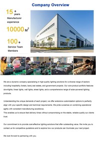 <span class=keywords><strong>ไฟ</strong></span>สปอตไลท์ติดรางสำหรับโครงการก่อสร้างโรงแรม 10W 20W 30W 40W 50W COB Led Track Light - Product Image 6