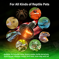 Lámpara de Calor de Cerámica Infrarroja Lejana 25W-250W, Bombilla Calentadora para Mascotas, Reptiles, Anfibios, Aves y Cría de Aves de Corral