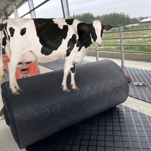 Tapis <span class=keywords><strong>en</strong></span> caoutchouc pour vaches / Tapis pour enclos à vaches / Revêtement antidérapant pour vaches sous le grattoir à <span class=keywords><strong>fumier</strong></span> - Product Image 1