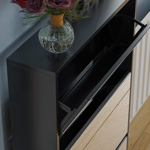 <span class=keywords><strong>Scarpiera</strong></span> moderna in legno con 3 cassetti ribaltabili con specchio <span class=keywords><strong>scarpiera</strong></span> a specchio in legno di lusso per <span class=keywords><strong>cabina</strong></span> di scarpe a specchio - Product Image 3