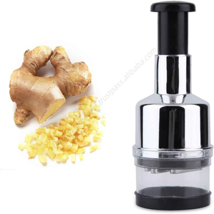 Cortador Manual de Alimentos de Acero Inoxidable para Picar Ajo, Cebolla, Nueces, Verduras y Frutas - Product Image 1