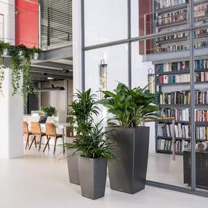 Promoción a bajo <span class=keywords><strong>precio</strong></span> Macetas de flores blancas Contenedor de plantas gigante de autorriego inteligente - Product Image 3