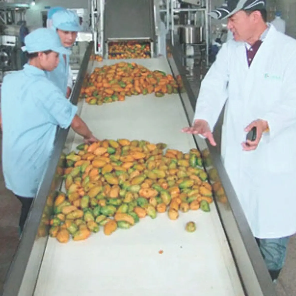 Automatique industrielle complète ananas presse-agrumes ligne de production