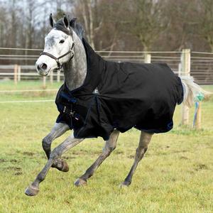 <span class=keywords><strong>Couverture</strong></span> de <span class=keywords><strong>cheval</strong></span> de polyester ou manteau de <span class=keywords><strong>cheval</strong></span> de feuille de mouche de <span class=keywords><strong>cheval</strong></span> - Product Image 3