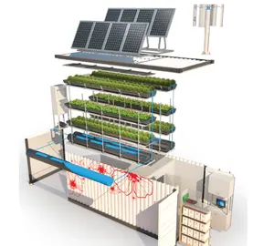 Commercial Greenhouse hydroponic Garden Growing systems for strawberry and lettuces