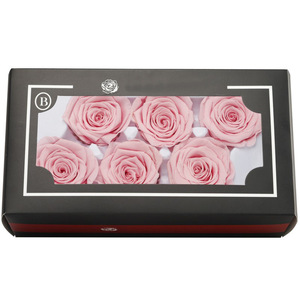 Venta al por Mayor de Cabezas de Rosas Preservadas Reales, Color Mocha Mousse Blanco, Rosa Eterna para Decoración de Bodas, Manualidades, Rosa Eterna en Flor - Product Image 6