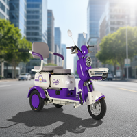 Tricycle à passagers 72V 800W 32AH, tricycle à passagers japonais, vélo électrique, vélo électrique de loisirs