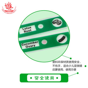 Portaobjetos de bioplástico para que los niños observen pequeñas células vivas, juego de 12 portaobjetos para microscopio. - Product Image 3