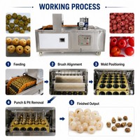 Machine voor het verwijderen van pruimenpitjes, lychee-schiller en -ontpitter, machine voor het ontpitten van kleine vruchten, longan-ontpitter