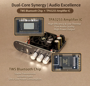 XY-T6001P T6001P monophonic 600W wireless audio <b>amplifier</b> board, TWS true wireless dual-speaker <b>amplifier</b> chip TPA3255 - Product Image 5